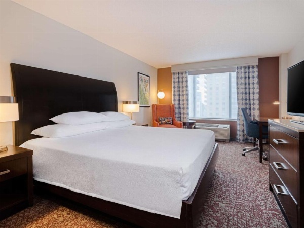 Hilton Garden Inn Chicago Downtown/Magnificent Mile image 18