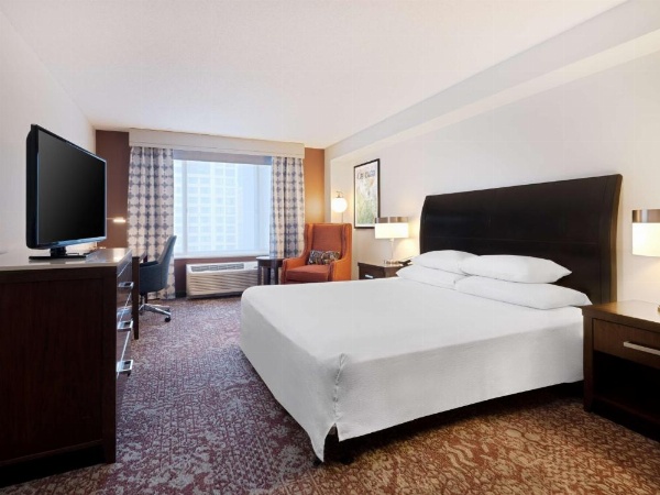 Hilton Garden Inn Chicago Downtown/Magnificent Mile image 19